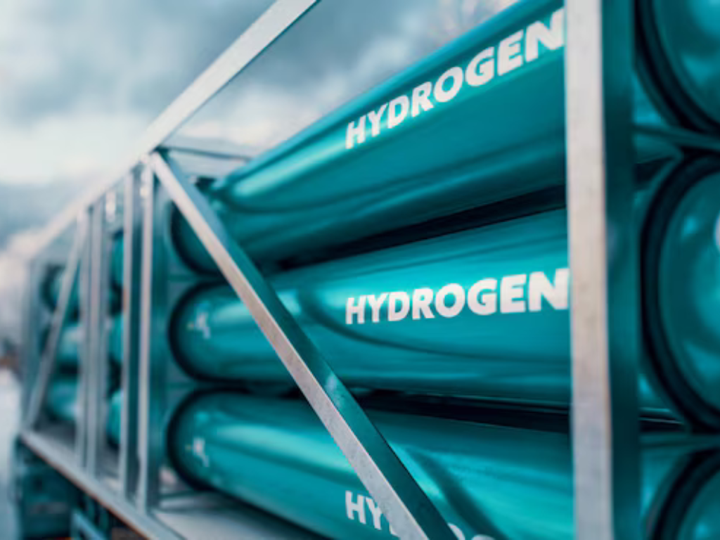 Hydrogen Fuel Cells